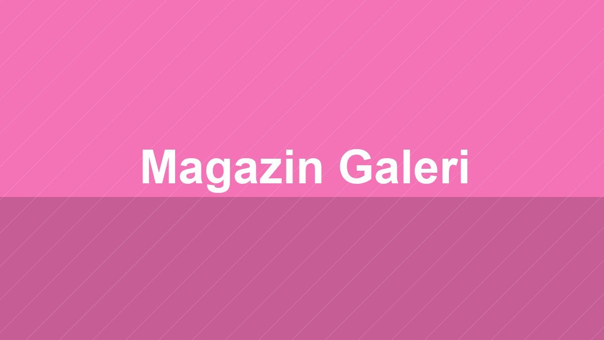 Magazin Galeri